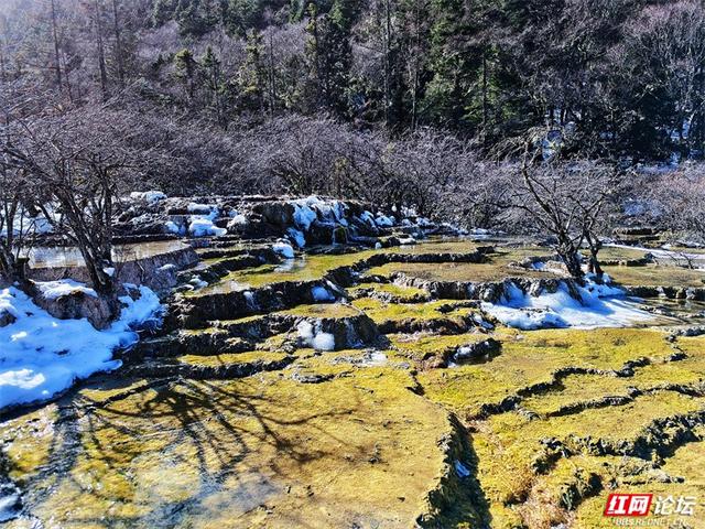 一半冰雪，一半碧波，冬日黄龙的色彩魔术