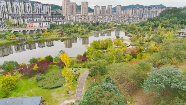 仪陇的秋天很美啊!