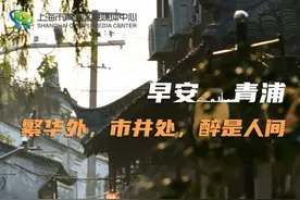 早安青浦｜繁华外，市井处，醉是人间图片
