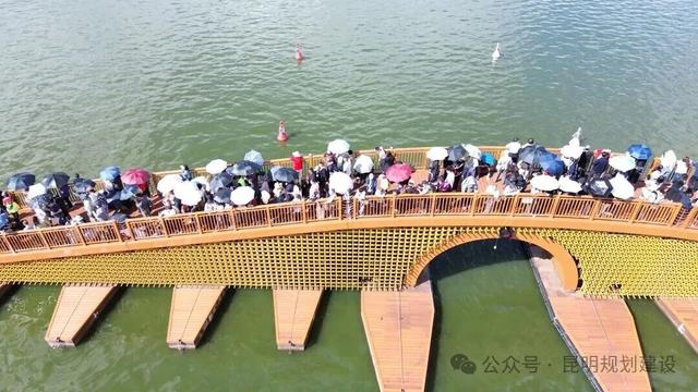 “桥”见新风景！滇池草海开合浮桥建设背后的故事