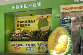 水灵灵的，首批马来西亚鲜食榴莲打飞的来了，已在杭州开售图片