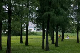 “摩羯”才刚走，热带扰动又要来影响广州图片