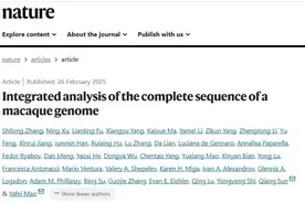 Nature丨孙强组合作解析猕猴属复杂结构变异助力演化医学研究图片