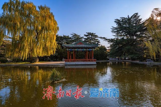 一年四季 泉在济南丨济南降温迎清透蓝天 南郊宾馆公园冬日景致美如画