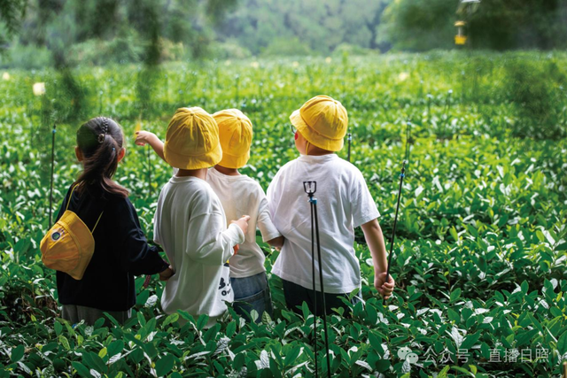 低调了千年！是时候重新认识一下莒县了！