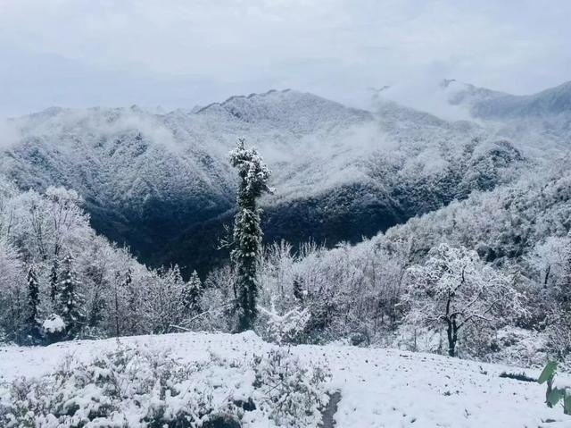 等来了！白河入冬第一场雪，竟藏着这样的景致