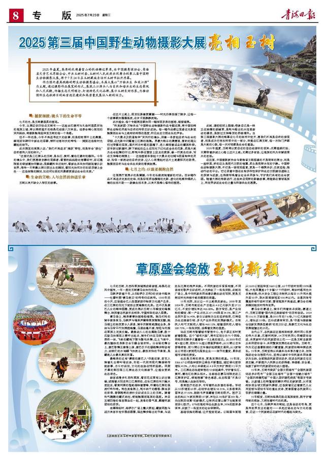 草原盛会绽放玉树新颜