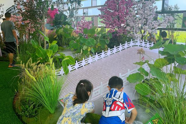 开放主题季｜汉风古韵邂逅生态之美 双园联动共谱“一眼千年”