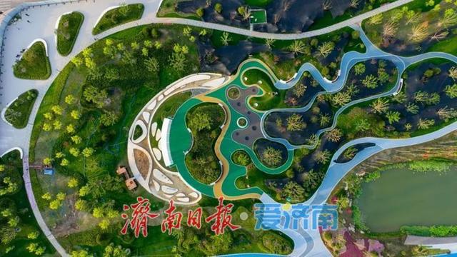 白泉湿地公园对外开放吸引众多市民关注