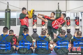 广西桂林：武警实战搏击火热开战图片