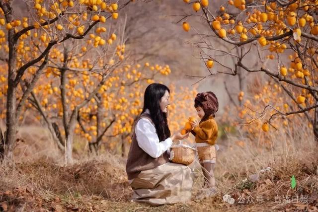 红了！10月下旬至11月上旬，就在日照这里→