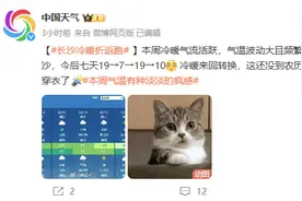 19℃→7℃→19℃→10℃！长沙本周天气如“坐海盗船”，网友：有种淡淡的疯感图片