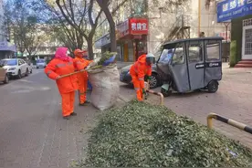 风起叶落，银川市今年秋色告一段落图片