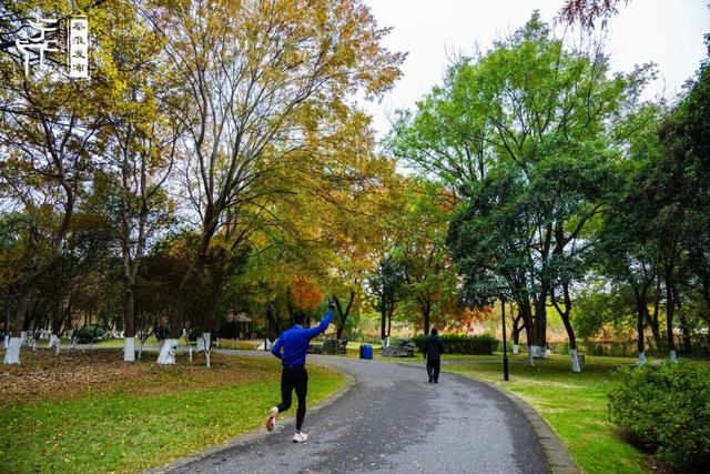 秦淮citywalk｜七桥瓮湿地公园