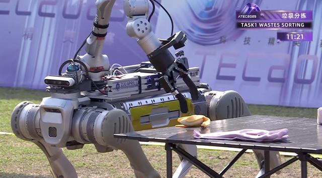 机器人集体到香港户外极限挑战，狗比人强