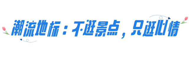 倒计时！2025呼和浩特冬季文旅推介会即将启幕，“暖冬密码”抢先解锁！