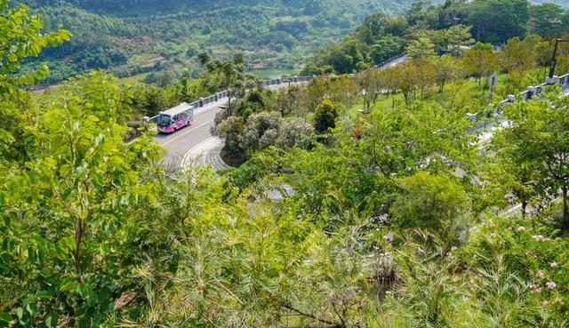 免门票！里水登高首选！3条赏秋路线→