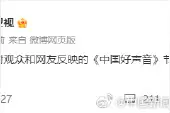 中国好声音节目停播图片