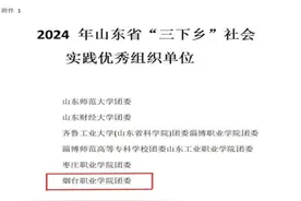 烟台职业学院“三下乡”社会实践获5类31项省级荣誉图片