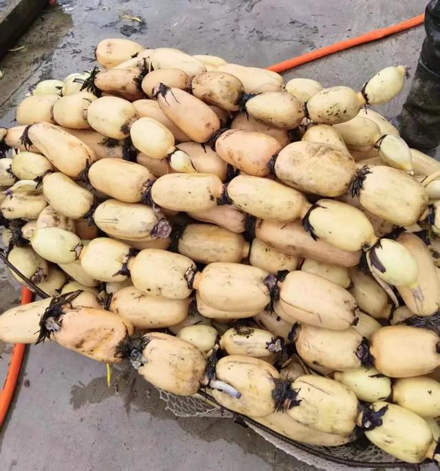 赶大集不用东奔西走~郯城大剧院市集今天下午等你