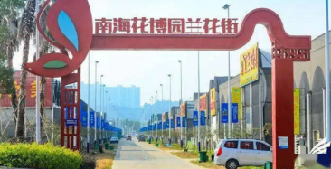 乐趣爆棚！解锁佛山两条宝藏亲子Citywalk路线！