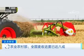 全国麦收进度已近八成 新技术、新措施扎实推进“三夏”生产图片