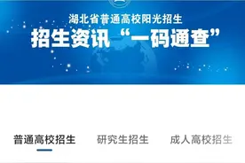 湖北省2025年艺术类体育类技能高考综合排序成绩一分一段统计表图片