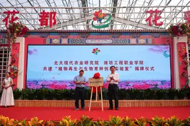 “一朵小花”蝶变“千亿产业”潍坊工程职业学院赋能花卉产业发展图片