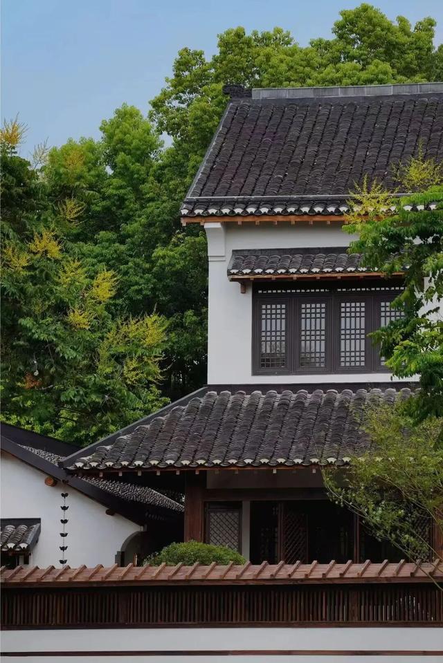 让烟花替我给你说“新年快乐”（附观赏入口）