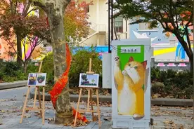 居民直呼“美翻”了！上海这里的落叶不扫街区美景，可线下打卡也可线上查询图片