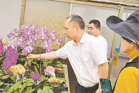 韶台同胞合力打造“中国兰花第一县” 首届交流活动举办图片