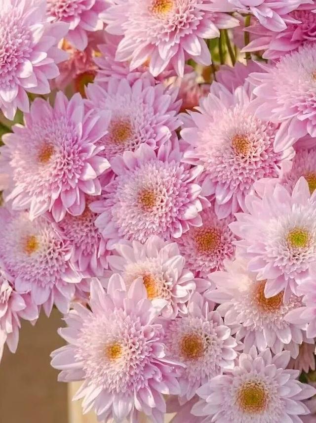 秋天基础，盐城的秋景就不基础！