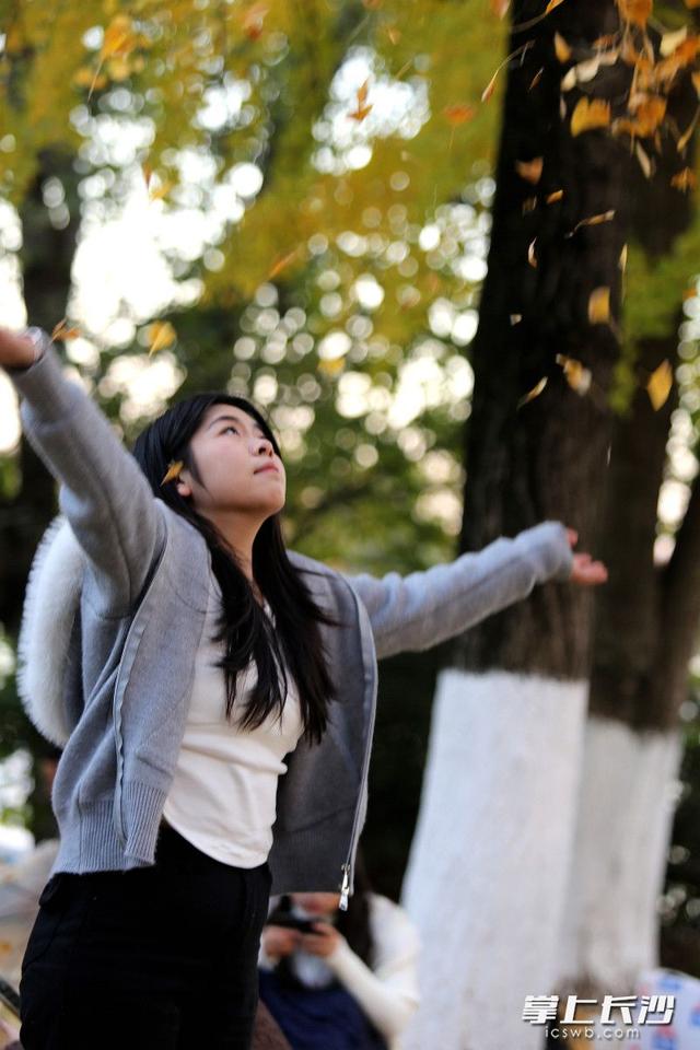 烈士公园“人从众”，29日入园游客超10万人次丨组图