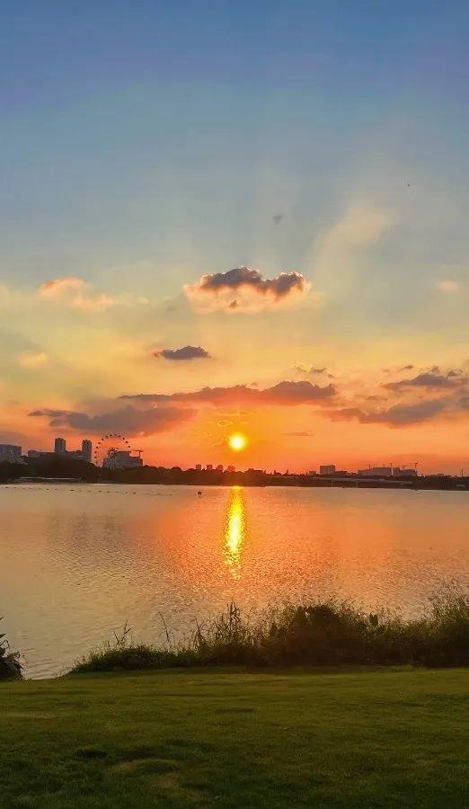 怎么不早说！表白天花板，都在白云！（文末福利）