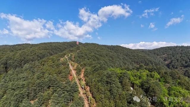 本地人力荐的半日宝藏打卡地！来寻甸自由“森”呼吸~