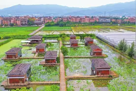 旅居云南 | 澄江：一湖碧水激活旅居新生态图片