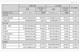 长虹美菱上半年营收与净利双增，海外业务增速亮眼图片