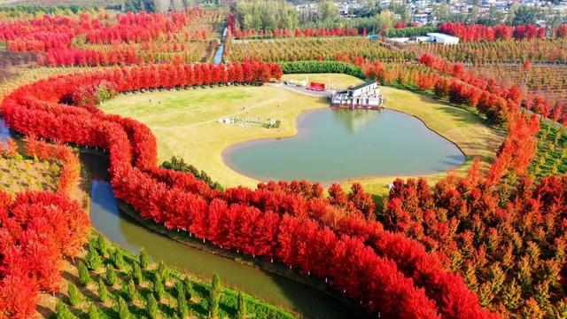 11月，是时候来一趟徐州了