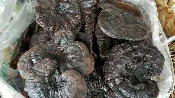 广东新晋网红地！浪漫花海、直升机飞行、地道美食…三水这个地方藏不住了