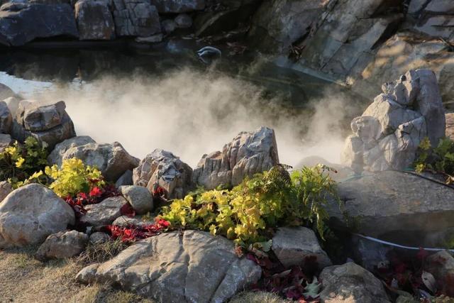 “巨兔”惊现里口山！环翠区小山村添新景