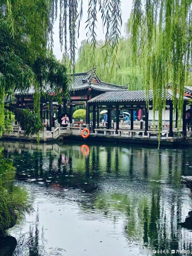 济南雨中的五龙潭公园更美丽