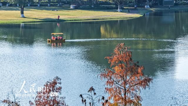 广西南宁：花花大世界景区冬景如画醉游人