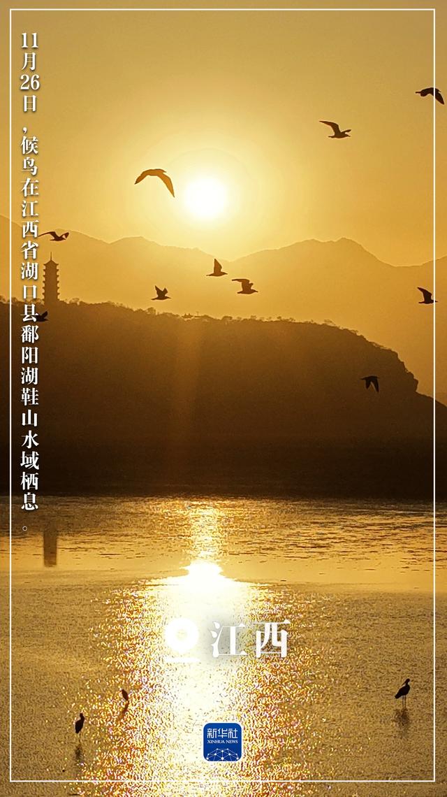 “初冬限定”美景上线！一起来欣赏吧