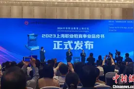 蓝皮书指上海职业教育国际化发展路径清晰图片