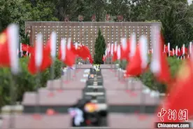又见边关木棉红：广西全力做好烈士异地祭扫服务保障工作图片