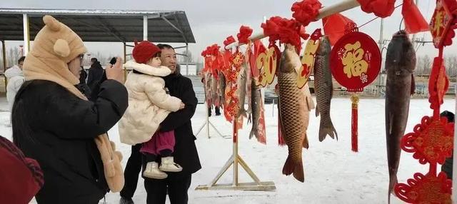 这个冬天，猫在巴彦淖尔才是幸福事