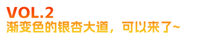 秋日美学暴击！正是赤橙黄绿时~