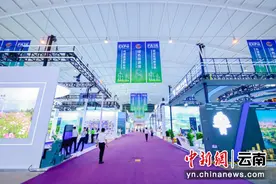 绿色能源馆亮相南博会 展现前沿绿色能源技术图片