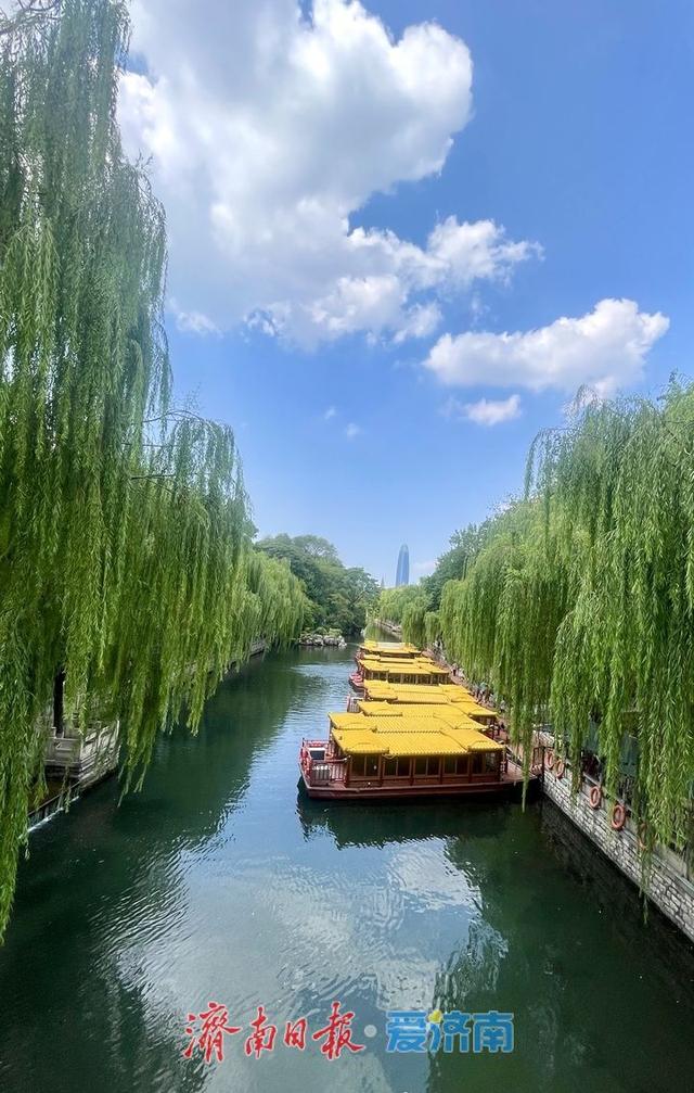 一年四季 泉在济南丨暑假进入后半程 泉水游热度不减