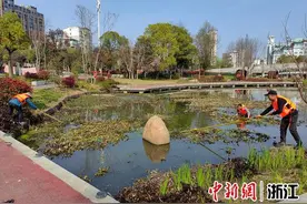 浙江永康：清理浮水植物 为儿童留下干净环境图片